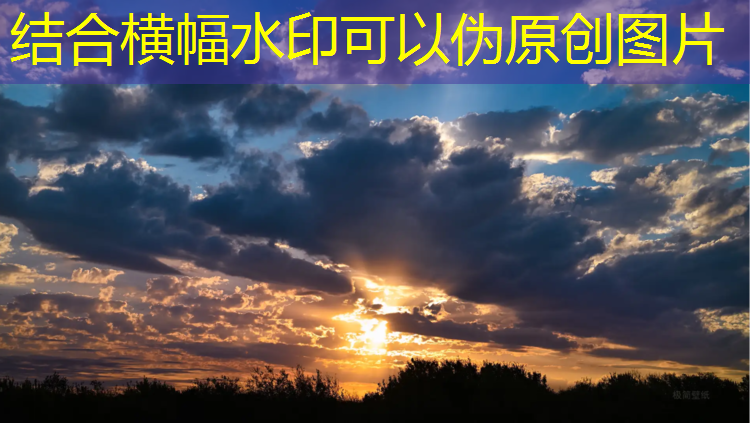 米乐为您介绍：室内健身房锻炼什么好运动