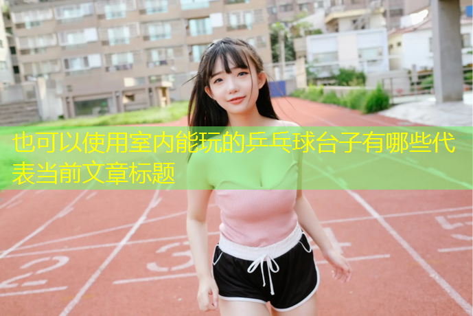 室内能玩的乒乓球台子有哪些