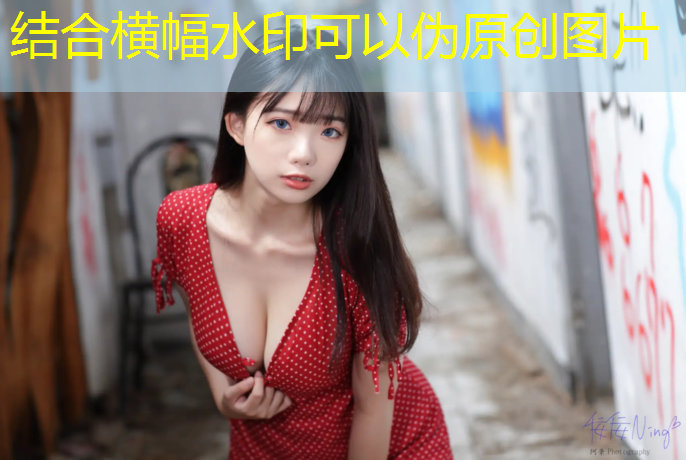 室内健身器材合同范本