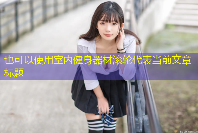 室内健身器材滚轮