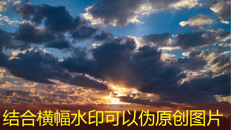 角色原画转场景的游戏叫什么