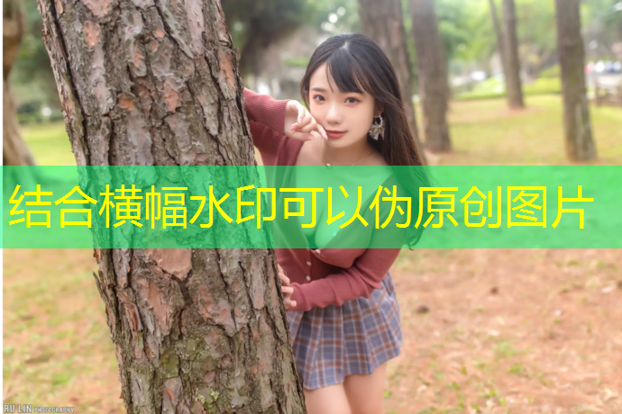 纵享篮球乐趣！选择篮球架顶棚，无需等待好天气