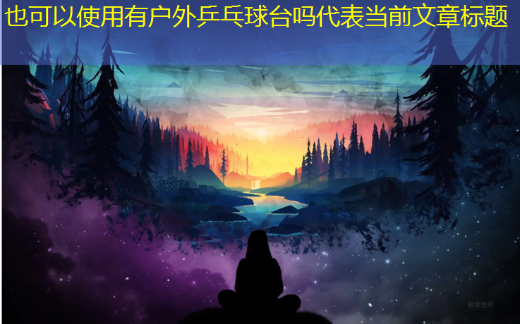 有户外乒乓球台吗